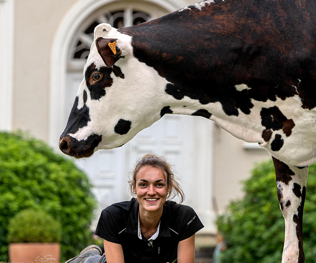 crèmerie à La Bazoche-Gouet près de Chateaudun en Eure-et-Loir 28