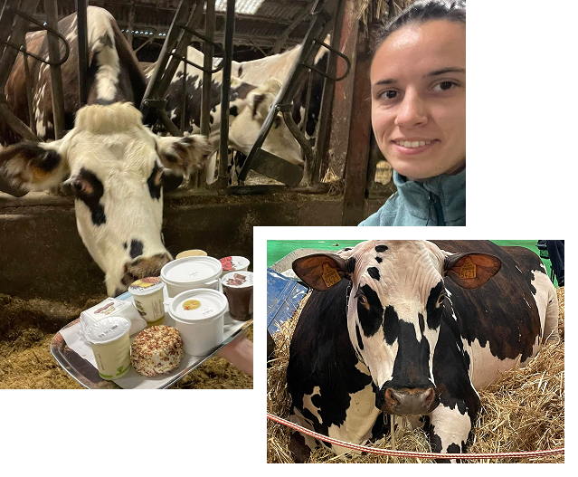 produist laitiers de vache à La Bazoche-Gouet près de Chateaudun en Eure-et-Loir 28